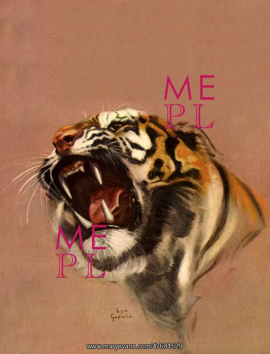 : Tiger Head