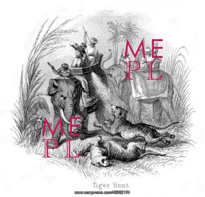 : Tiger Hunt, India : Tiger Hunt, India