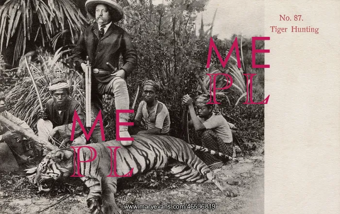: Tiger Hunting in Malaya : Tiger Hunting in Malaya