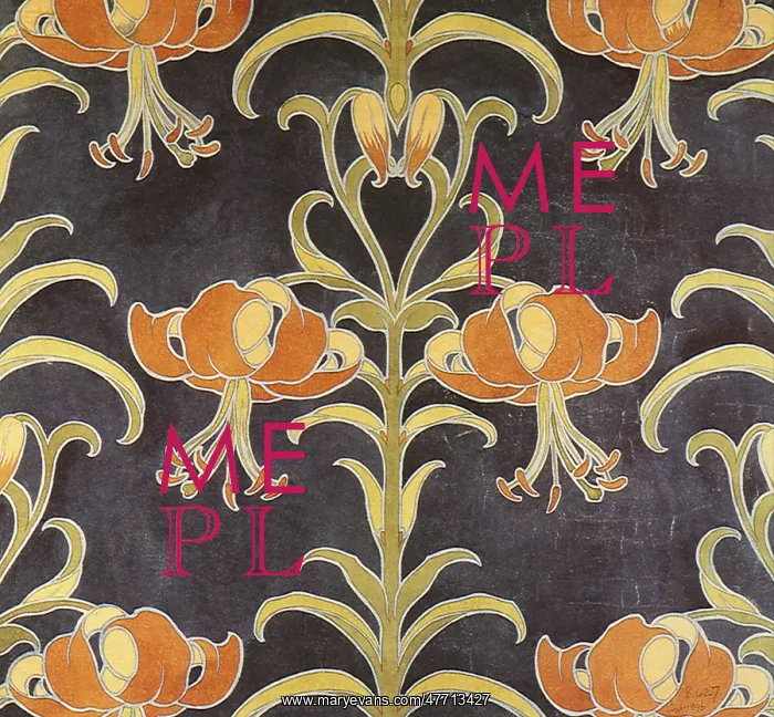  : Tiger Lily Pattern