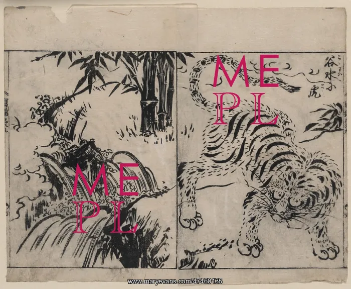  : Tiger near a cataract