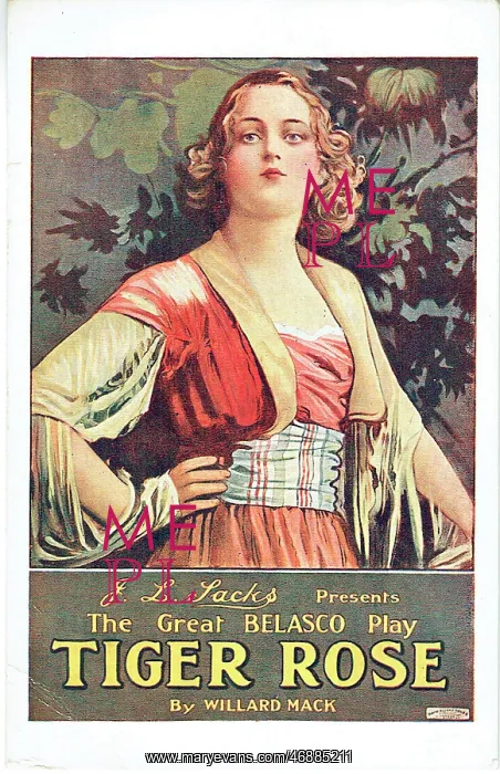 : Tiger Rose by Willard Mack : Tiger Rose by Willard Mack