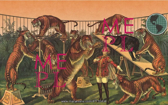  : Tiger Tamer