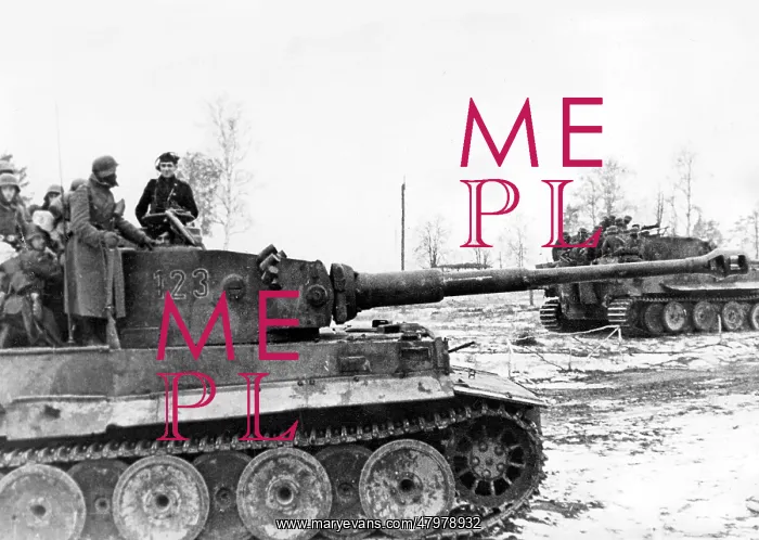 : Tiger Tank at the Eastern Front : Tiger Tank at the Eastern Front