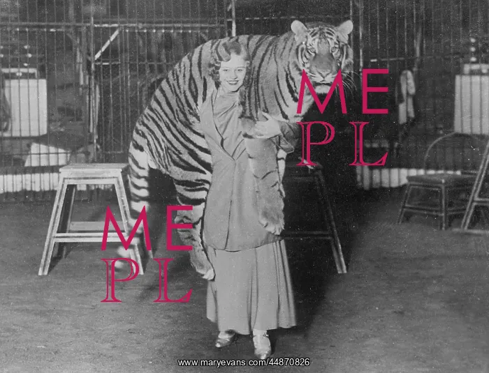  : TIGER TRAINER 1930S