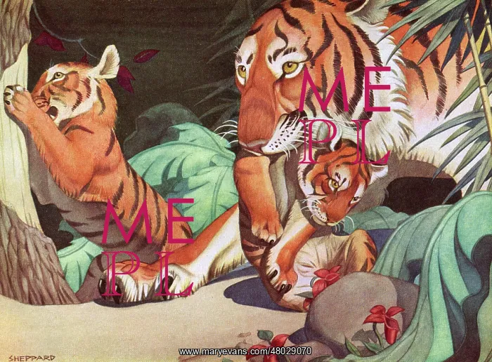 : Tigers by Raymond Sheppard - a mother with her two tiger cubs in the jungle : Tigers by Raymond Sheppard - a mother with her two tiger cubs in the jungle