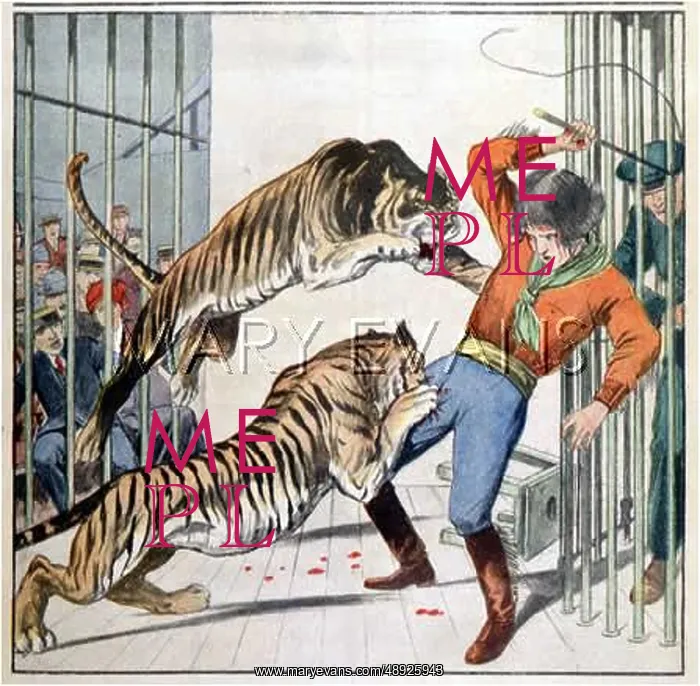 : TIGERS ATTACK TAMER : TIGERS ATTACK TAMER