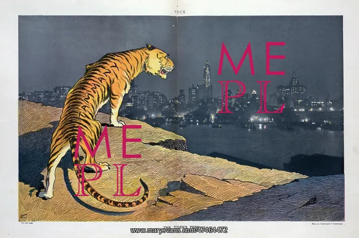 : The tiger's prey : The tiger's prey