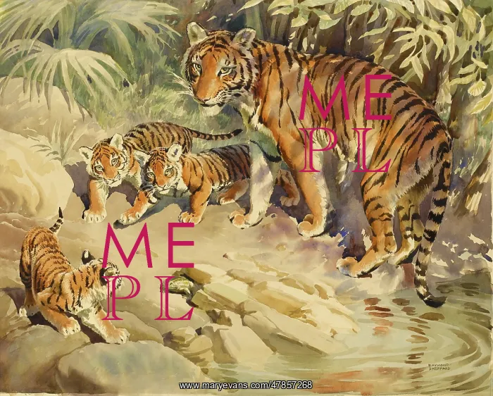 : Tigress and cubs : Tigress and cubs