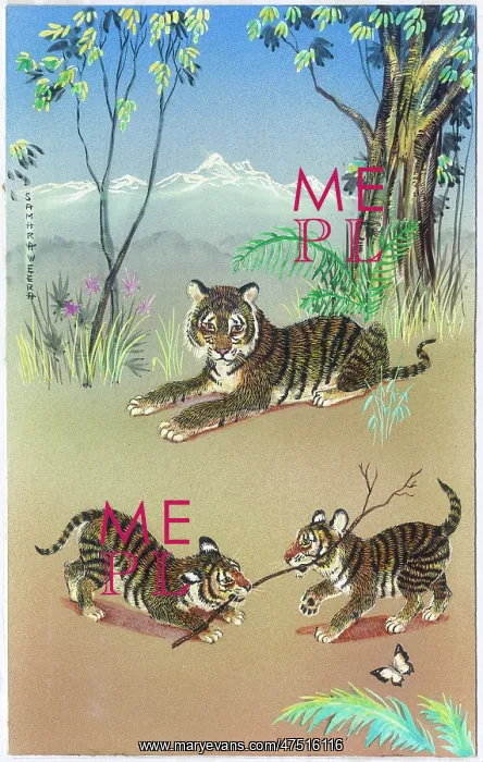 : Tigress watching two tiger cubs playing : Tigress watching two tiger cubs playing