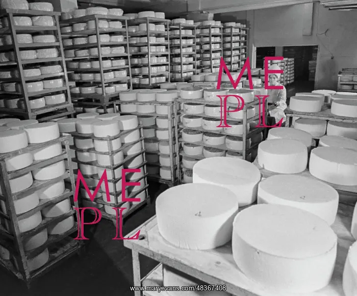 : Tikhoretsk dairy factory : Tikhoretsk dairy factory