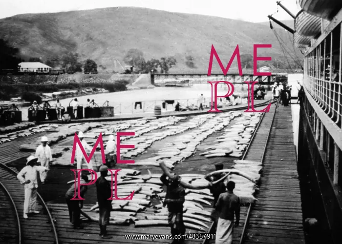 : Tiko in Cameroon, 1912 : Tiko in Cameroon, 1912