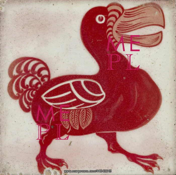 : Tile with Dodo : Tile with Dodo