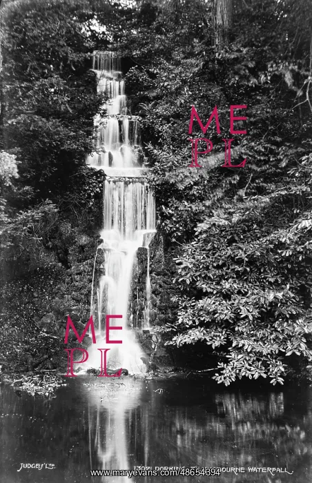 : Tillingbourne Waterfall : Tillingbourne Waterfall