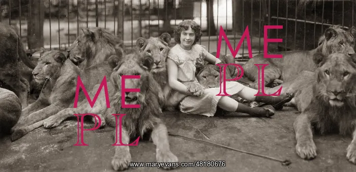 : Tilly Bebe, 1903 : Tilly Bebe, 1903