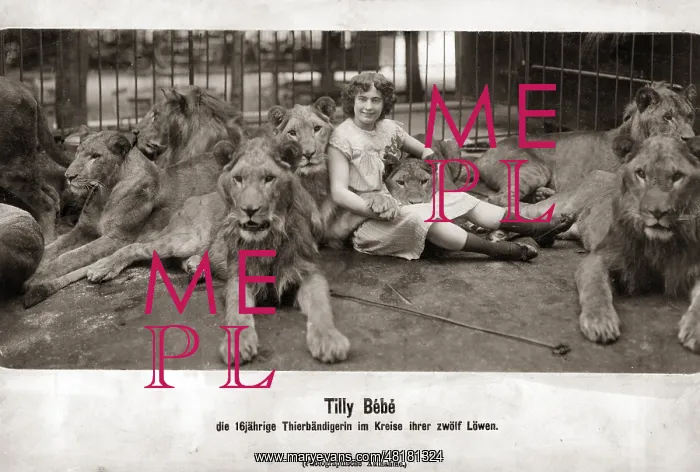 : Tilly Bebe, 1903 : Tilly Bebe, 1903