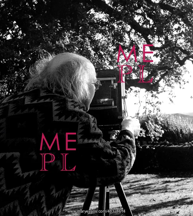 : Tim Mercer - Photographer : Tim Mercer - Photographer