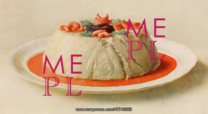  : TIMBALE DE SOLE FILETS