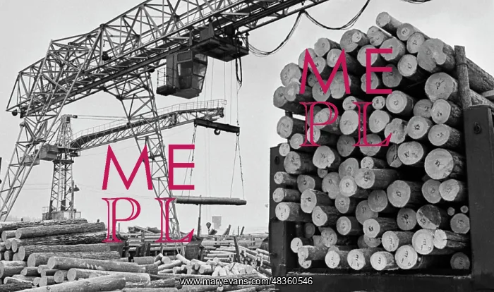 : Timber mill : Timber mill