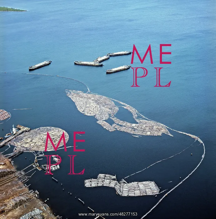 : Timber floating in Lake Onega, 1973 : Timber floating in Lake Onega, 1973