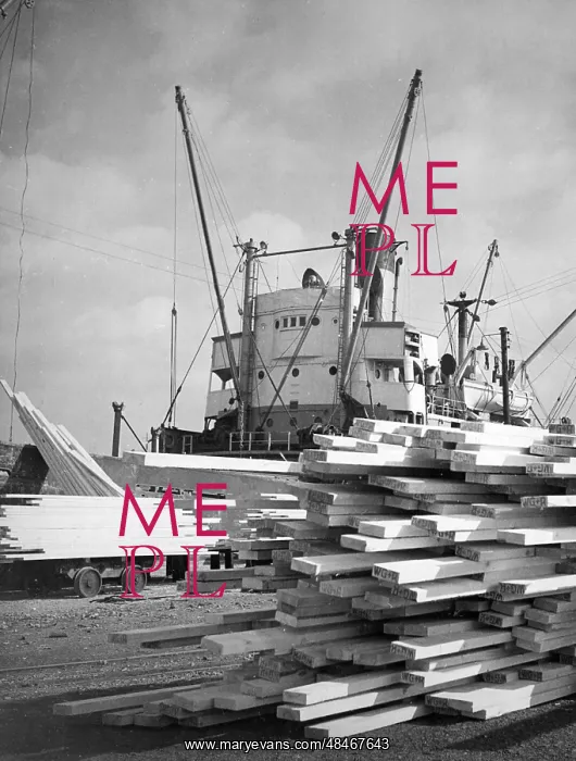 : TIMBER AT HULL DOCKS : TIMBER AT HULL DOCKS