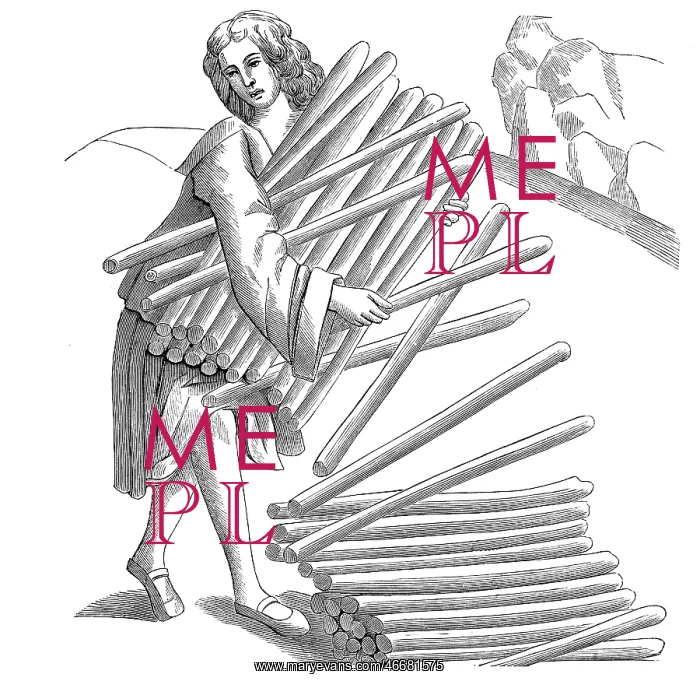  : Timber industry