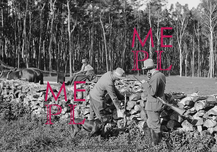 : Timber industry in occupied Poland, 1941 : Timber industry in occupied Poland, 1941