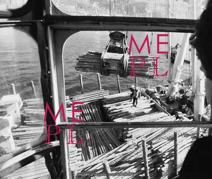 : Timber loading : Timber loading