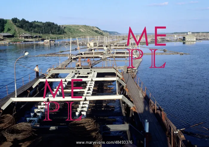  : Timber rafting in Karelia, 1981