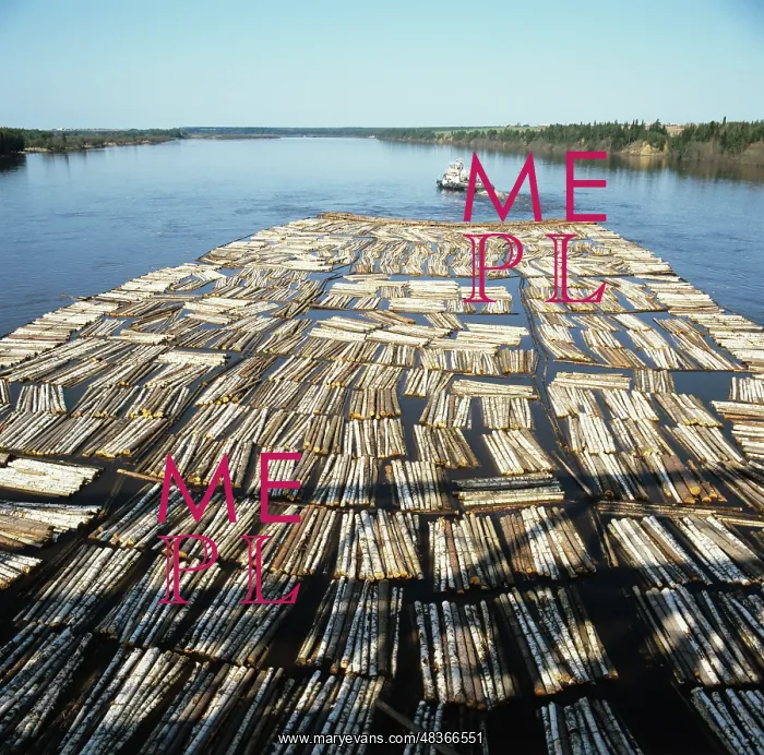 : Timber rafting in Komi ASSR, 1983 : Timber rafting in Komi ASSR, 1983