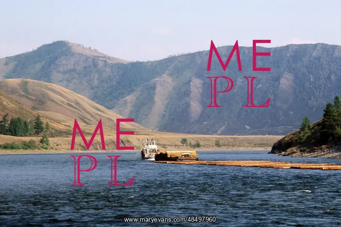 : Timber rafting on Yenisei River, 1981 : Timber rafting on Yenisei River, 1981