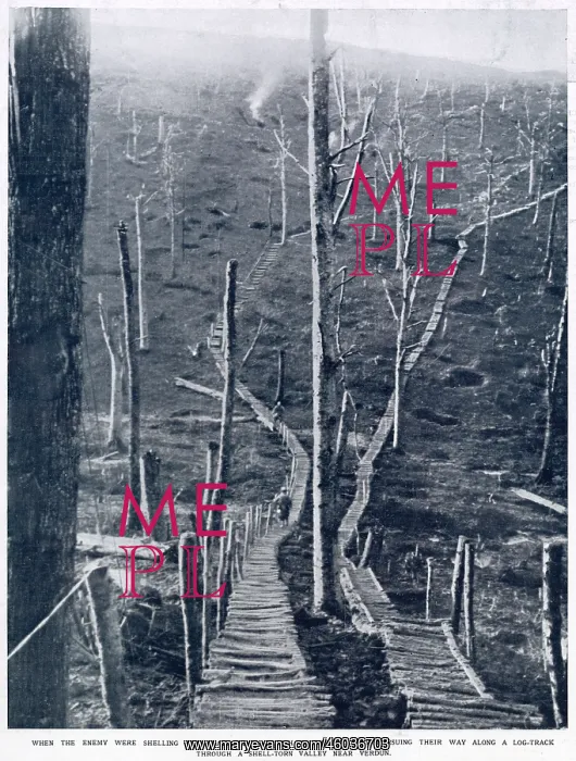 : Timber roads on the battlefields near Verdun : Timber roads on the battlefields near Verdun