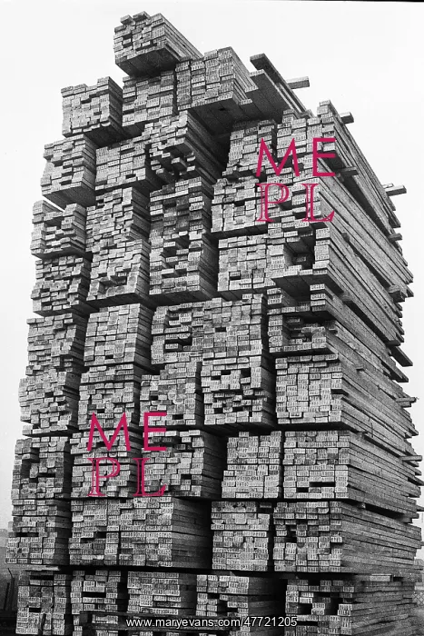 : Timber stacked at the docks : Timber stacked at the docks