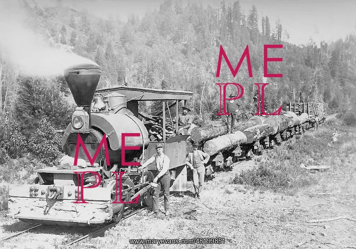 : Timber transport by railway in the U.S : Timber transport by railway in the U.S