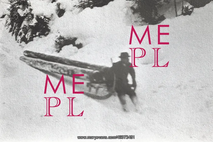  : Timber transport on a sleigh in winter. About 1910