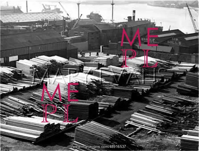 : TIMBER YARD 1950S : TIMBER YARD 1950S