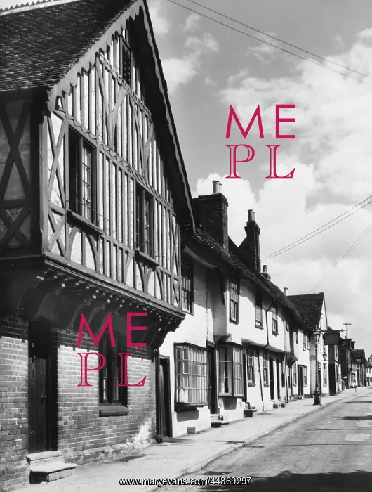 : TIMBERED HOUSES : TIMBERED HOUSES