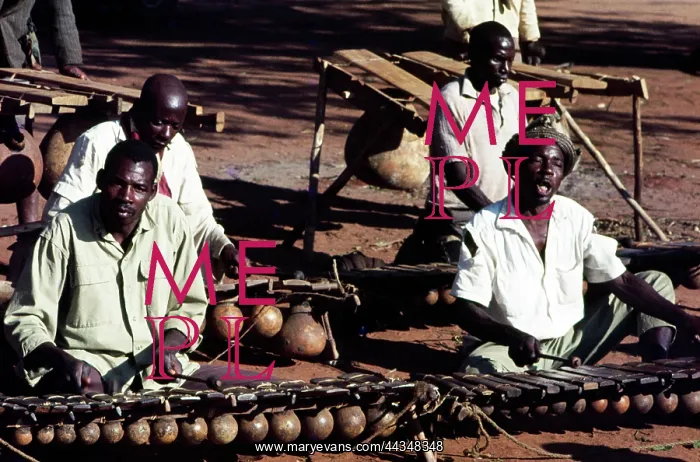 : Four timbila xylophone players : Four timbila xylophone players