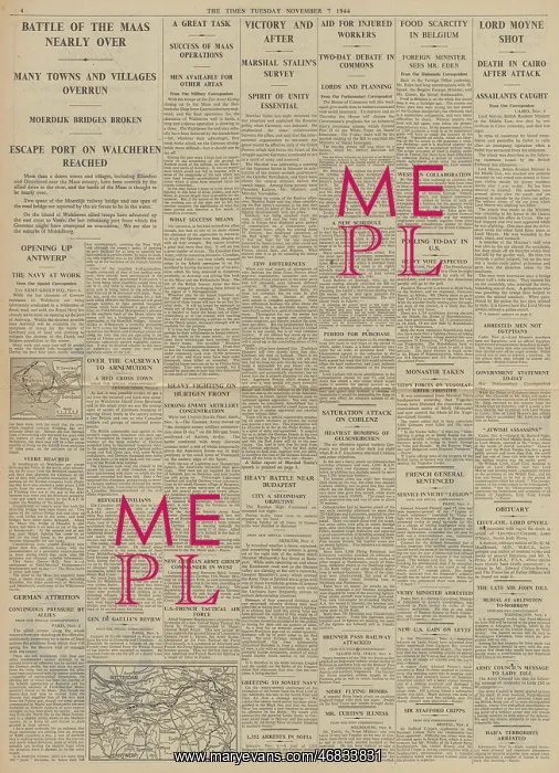 : The Times Lord Moyne assassinated : The Times Lord Moyne assassinated