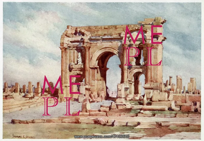 : TIMGAD RUINS : TIMGAD RUINS