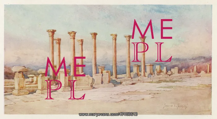 : TIMGAD RUINS - FORUM : TIMGAD RUINS - FORUM