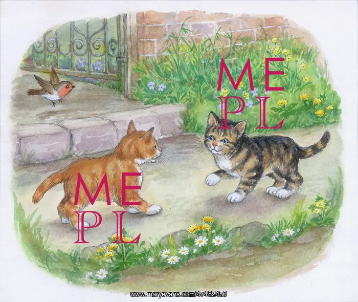  : Timothy Finds a Playmate