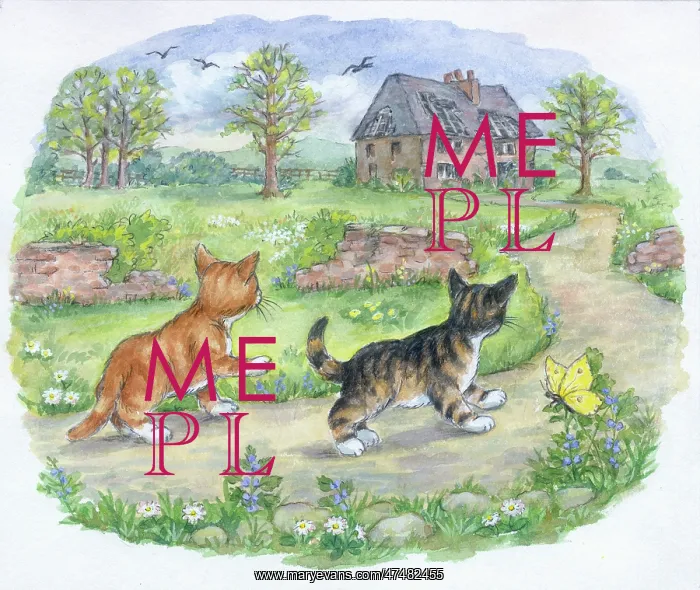  : Timothy Finds a Playmate