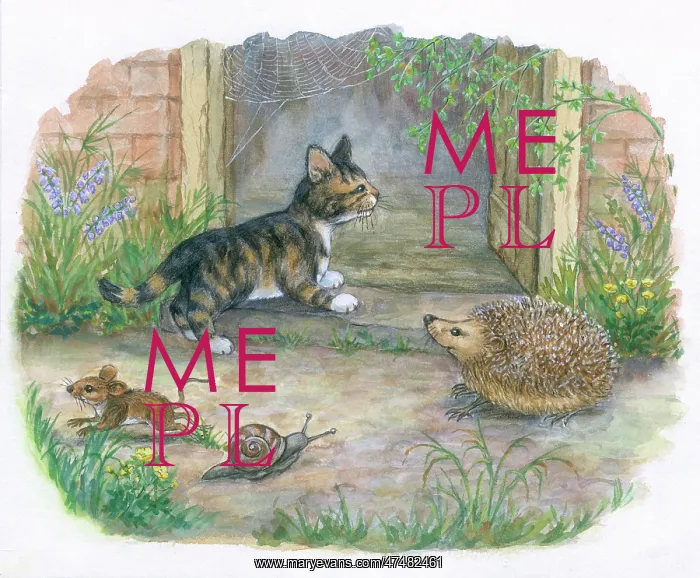  : Timothy Finds a Playmate
