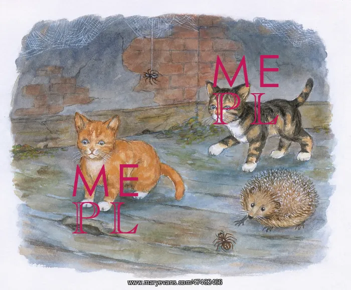  : Timothy Finds a Playmate