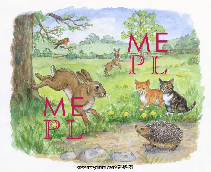  : Timothy Finds a Playmate