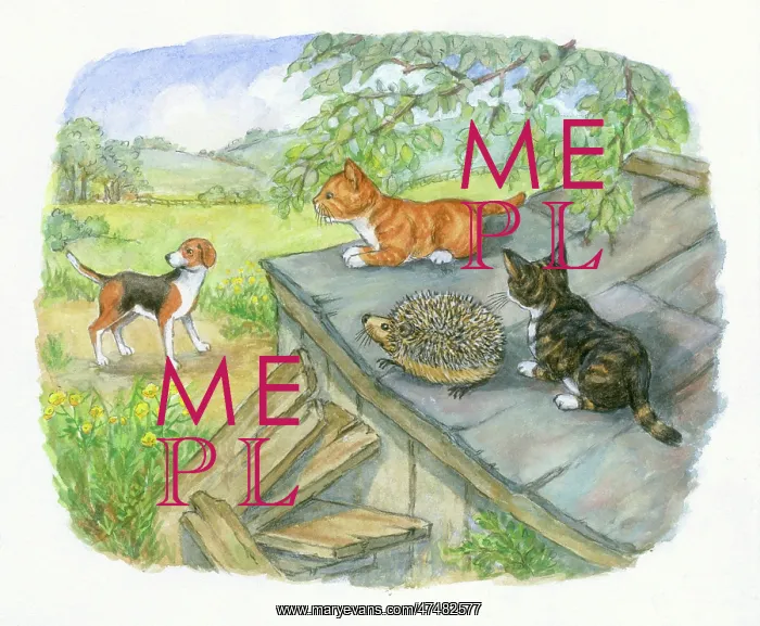  : Timothy Finds a Playmate