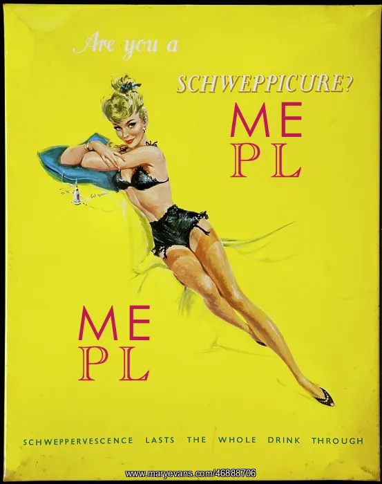 : Tin Advertising board for Schweppes : Tin Advertising board for Schweppes