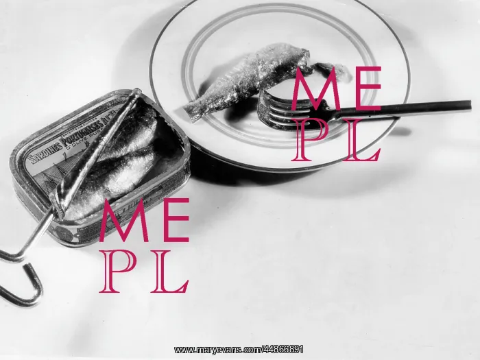 : TIN OF SARDINES