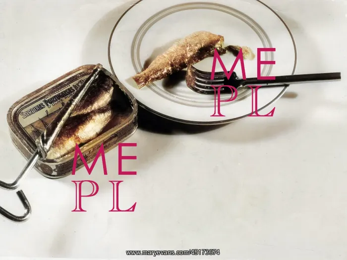  : TIN OF SARDINES